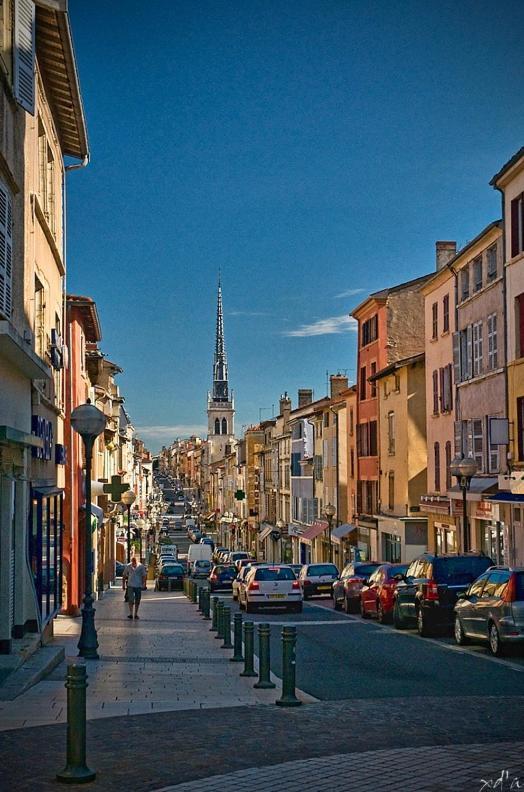 Le Cosy Shelby Proche Gare 150M Villefranche-sur-Saône Exterior foto